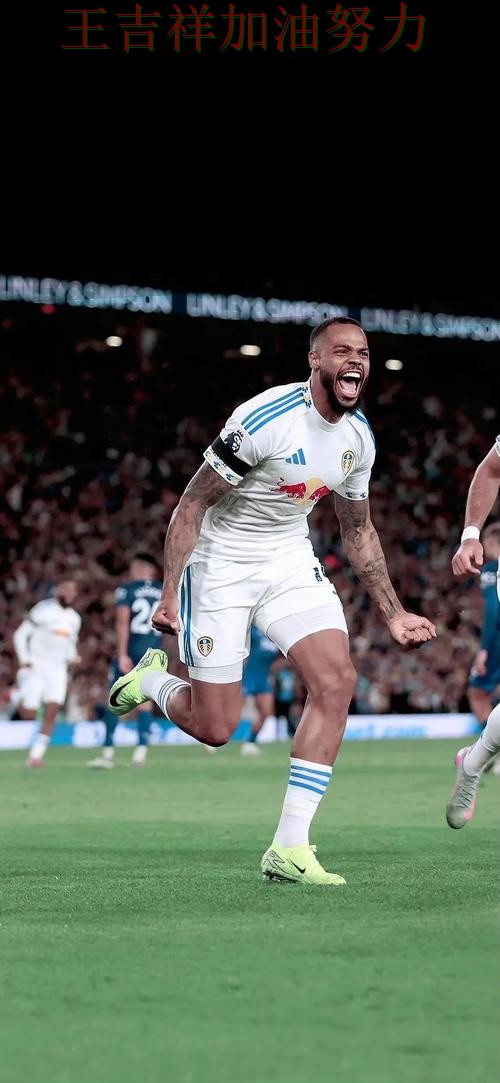 WTA巡回赛伤病情况更新:曼城防线失误导致痛失好局 WTA巡回赛伤病情况更新:曼城防线失误导致痛失好局